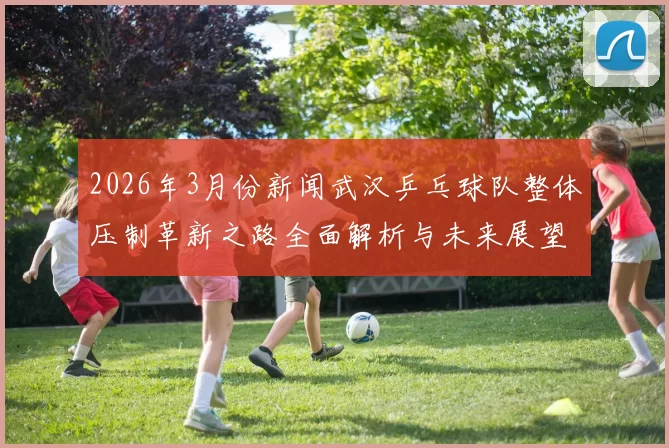 2026年3月份新闻武汉乒乓球队整体压制革新之路全面解析与未来展望